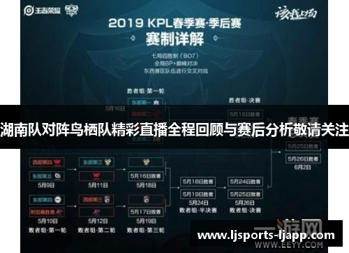 湖南队对阵鸟栖队精彩直播全程回顾与赛后分析敬请关注